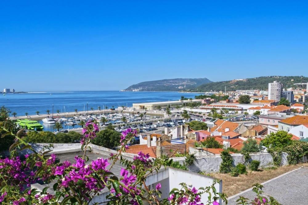 Apartment Concha Miradouro